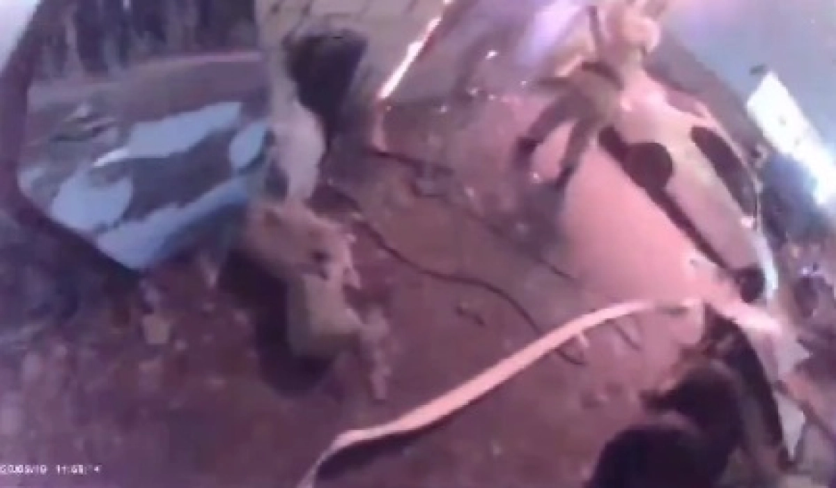 Фото: скриншот из видео