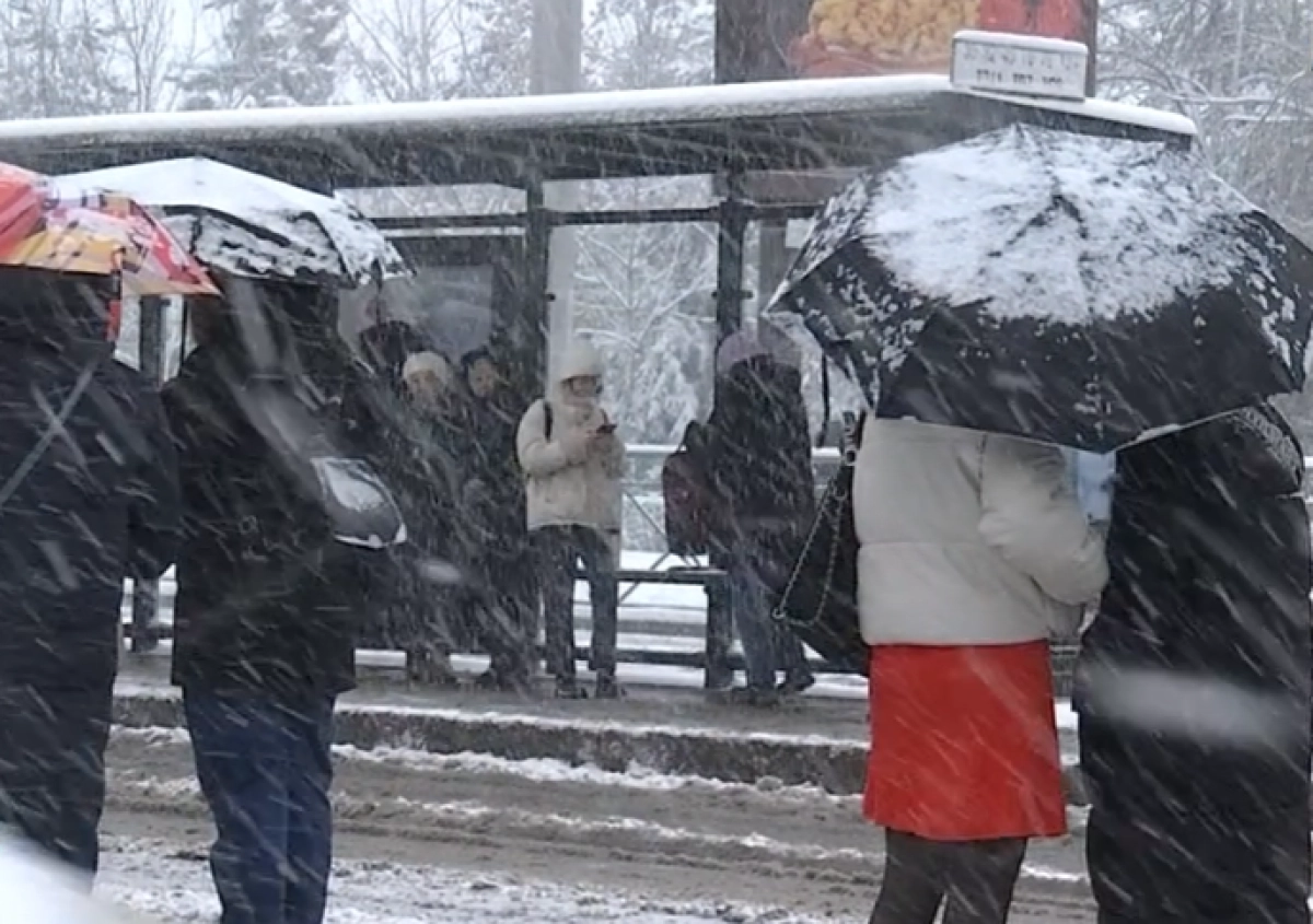 Кадр из видео/ КТК