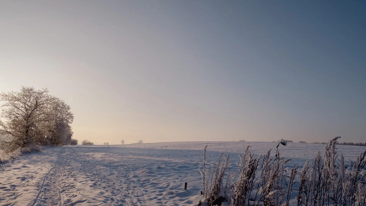 Фото: unsplash.com