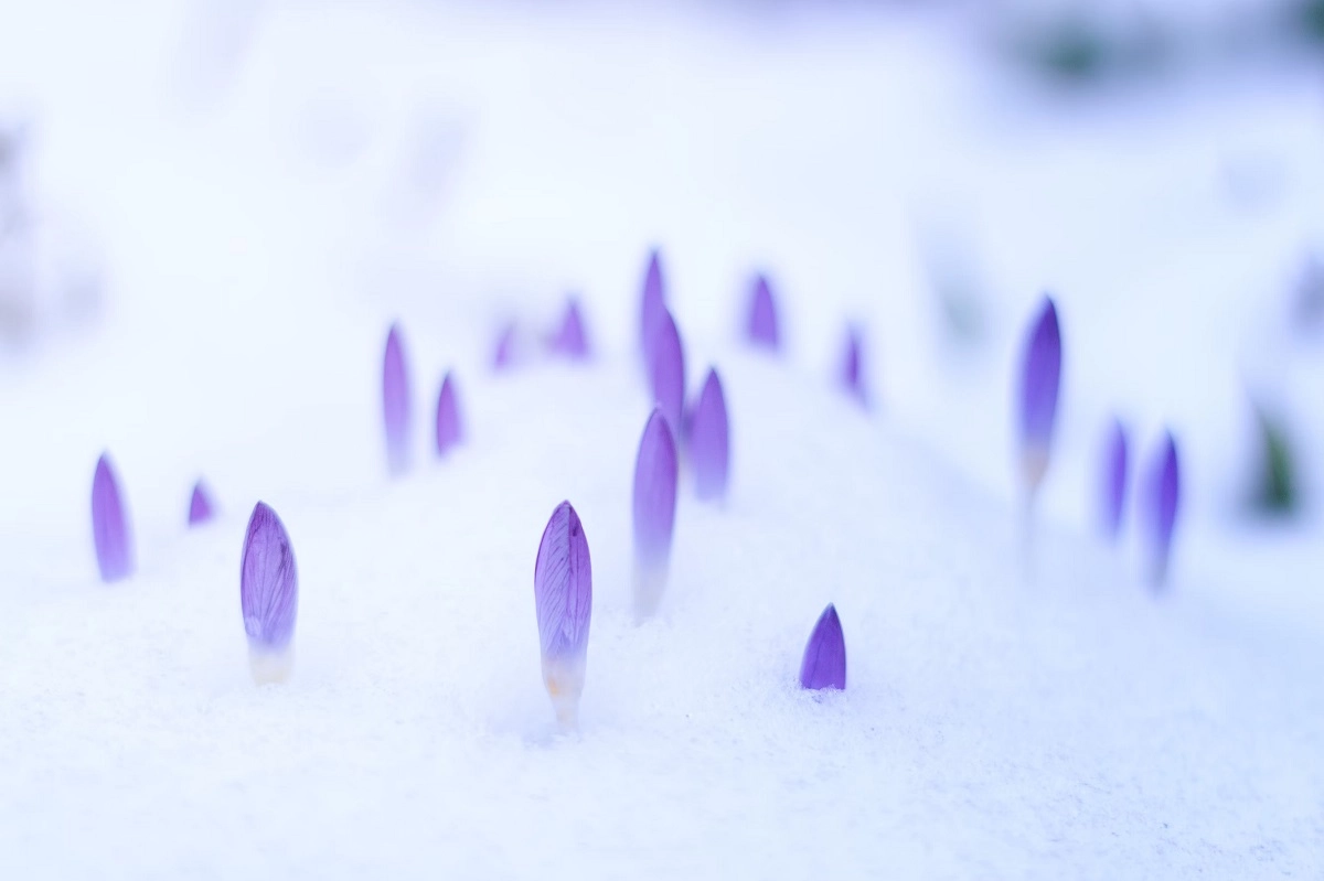 Фото: unsplash