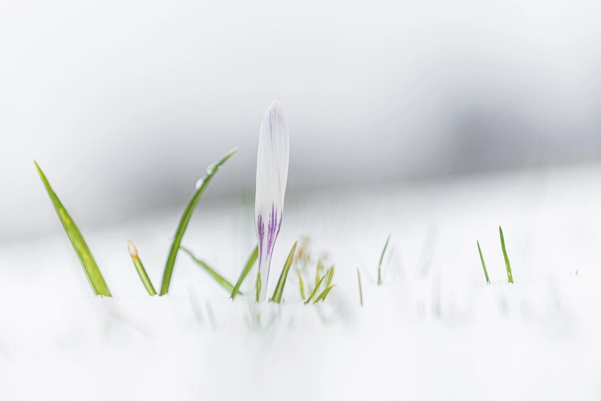 Фото: pixabay.com