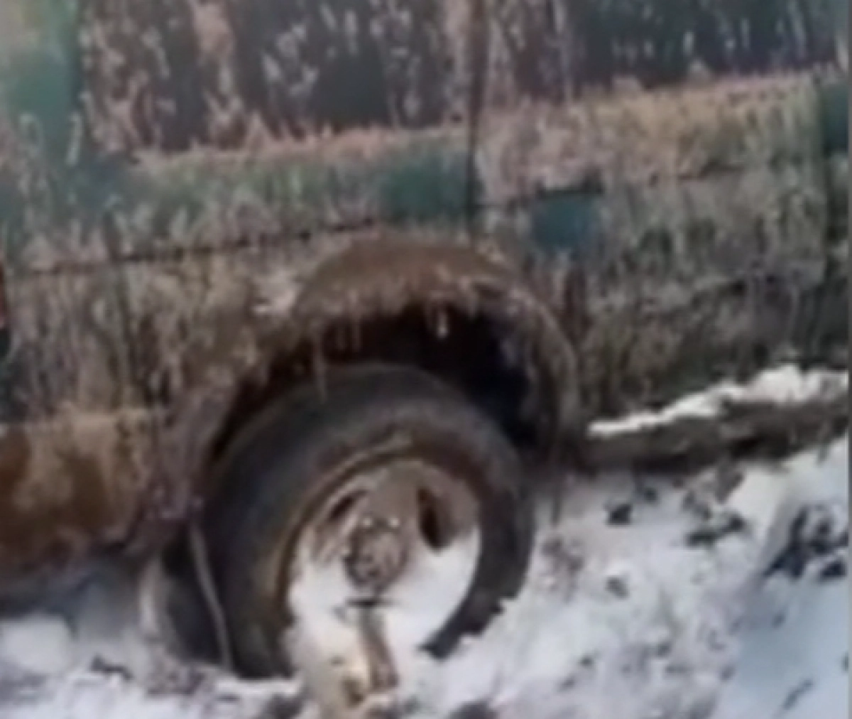 Кадр из видео/ КТК