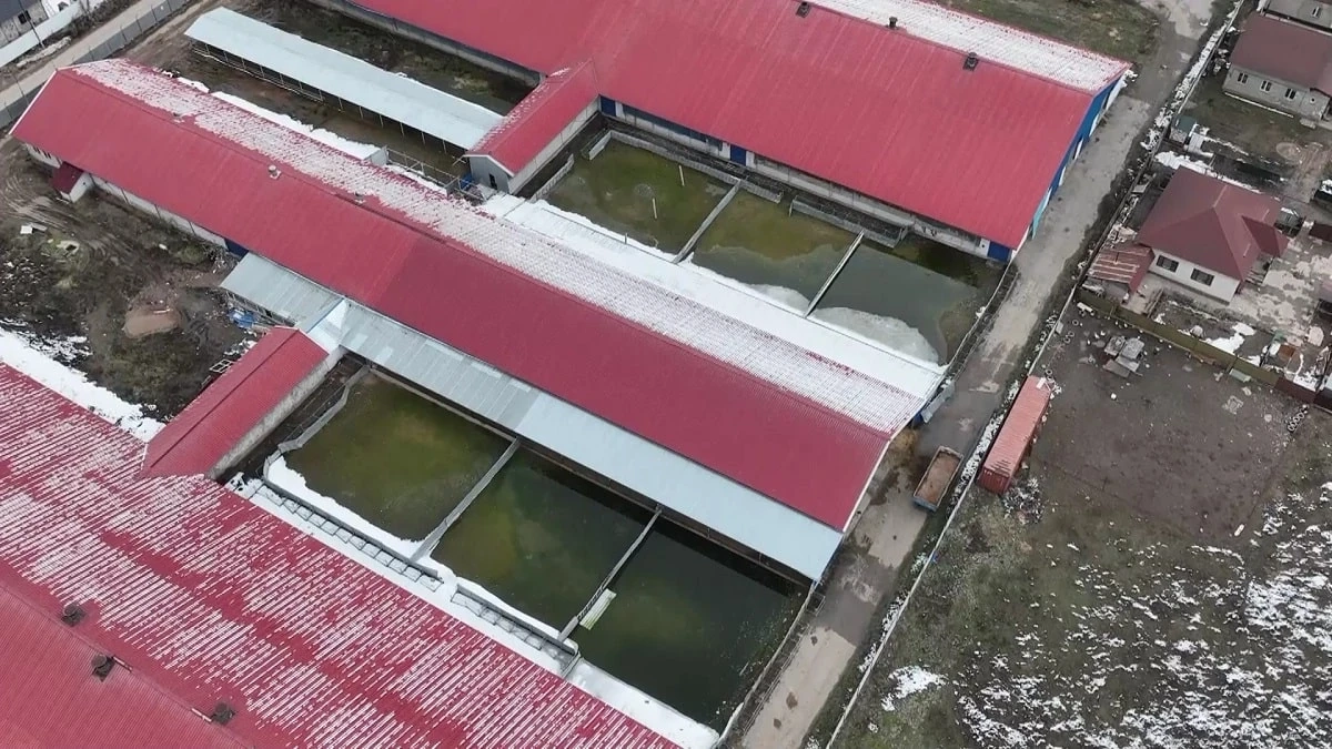 Кадр из видео/ AlmatyTV