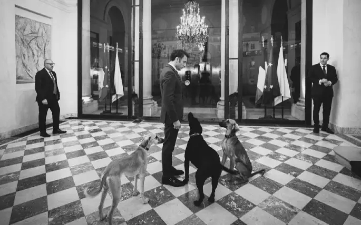 Фото: соцсеть Instagram