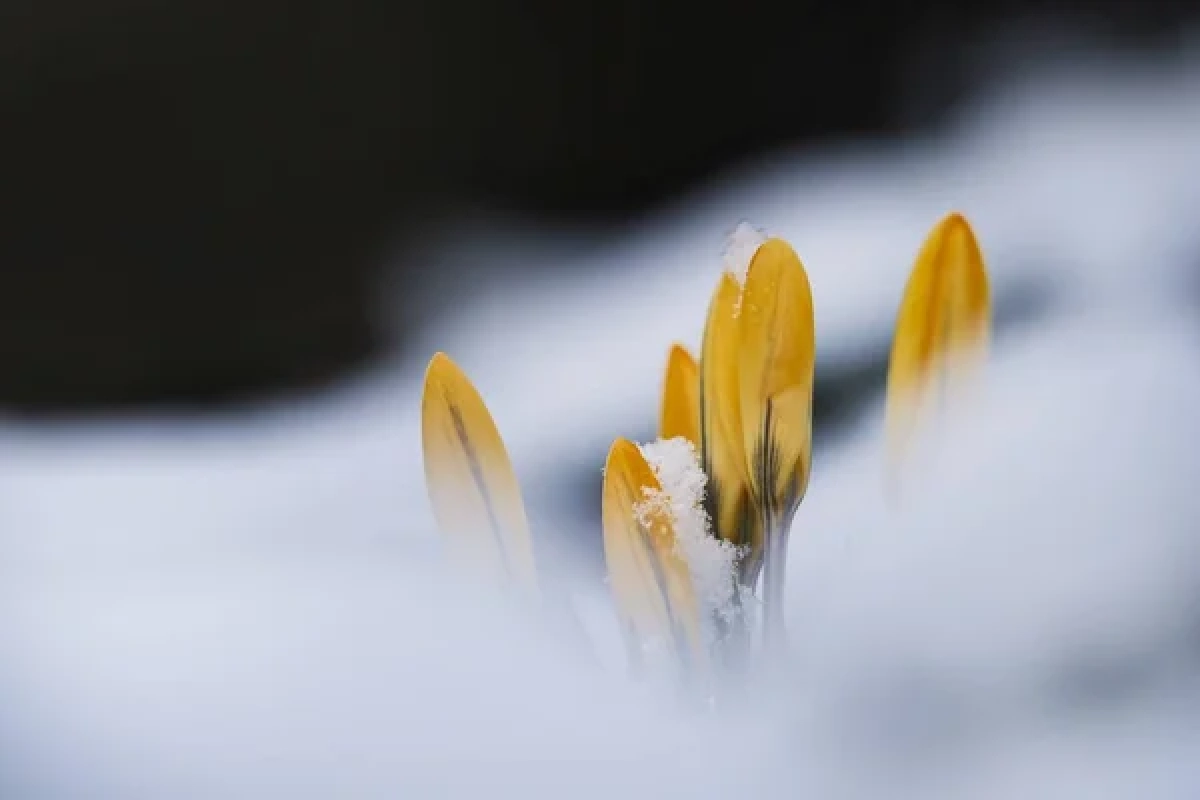 Фото: depositphotos.com