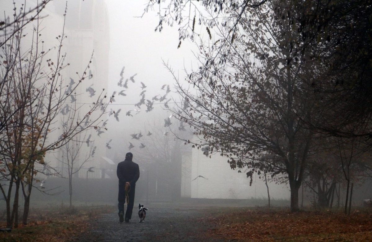 Фото: unsplash.com