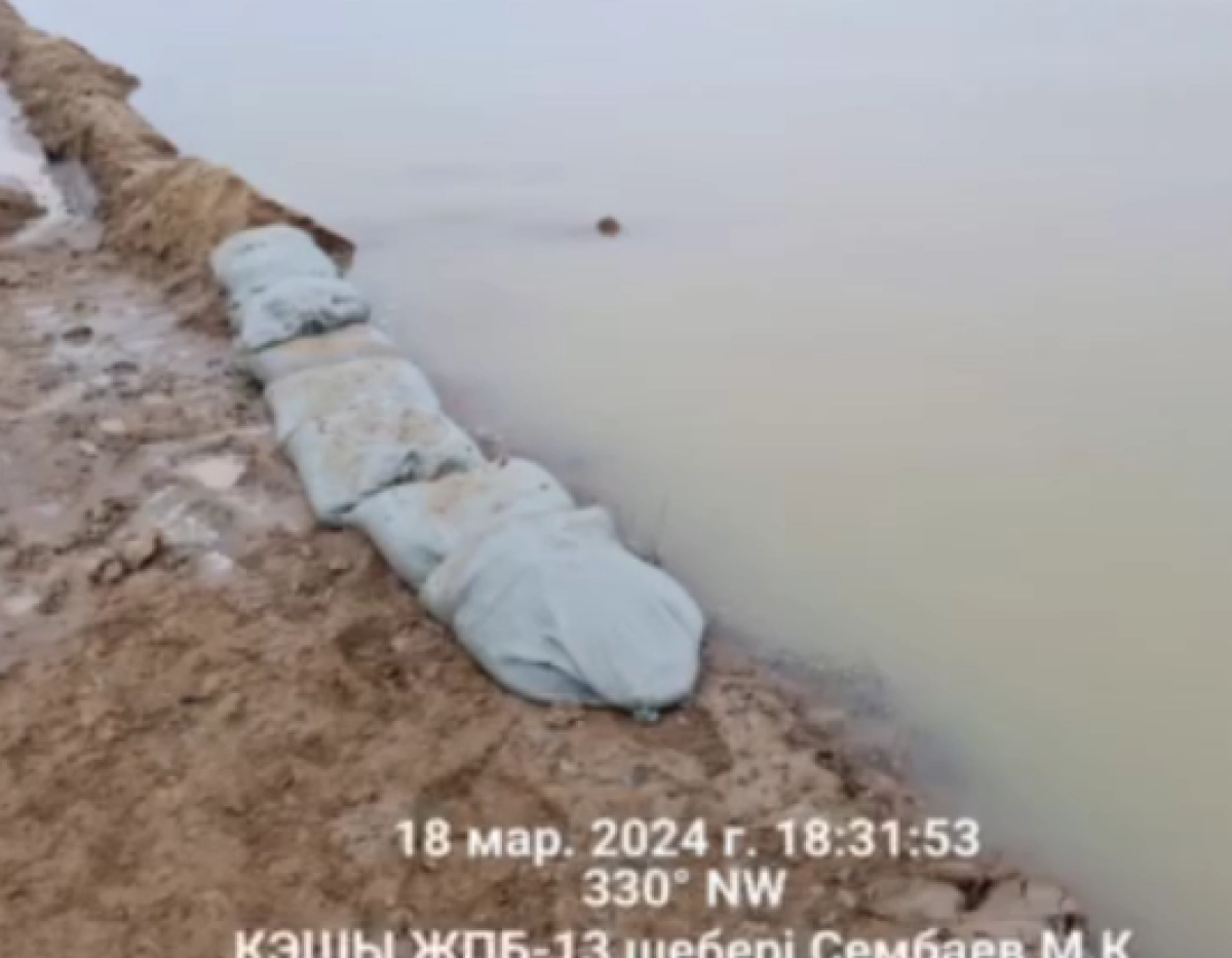 Кадр из видео