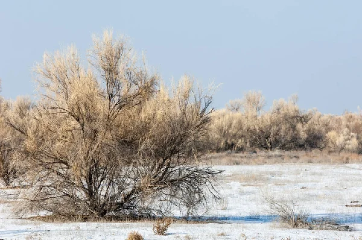 Фото: depositphotos.com