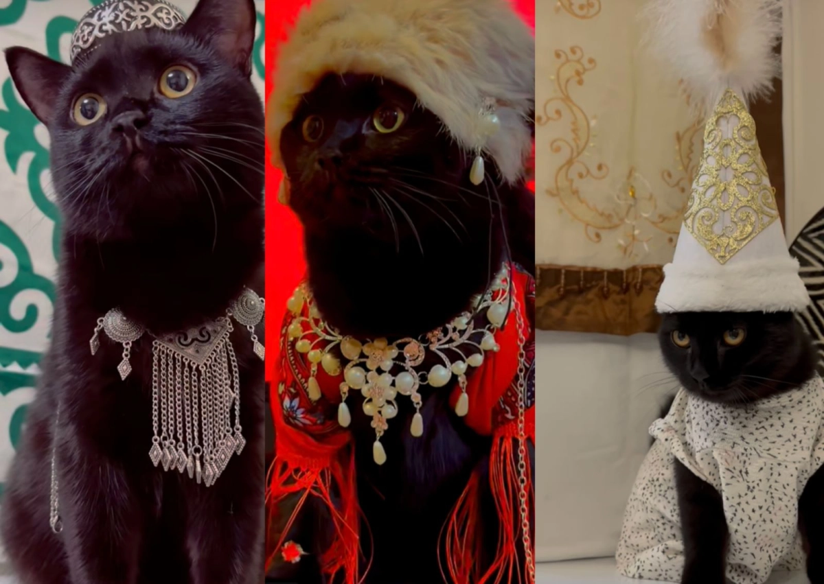 Фото: кадр из видео