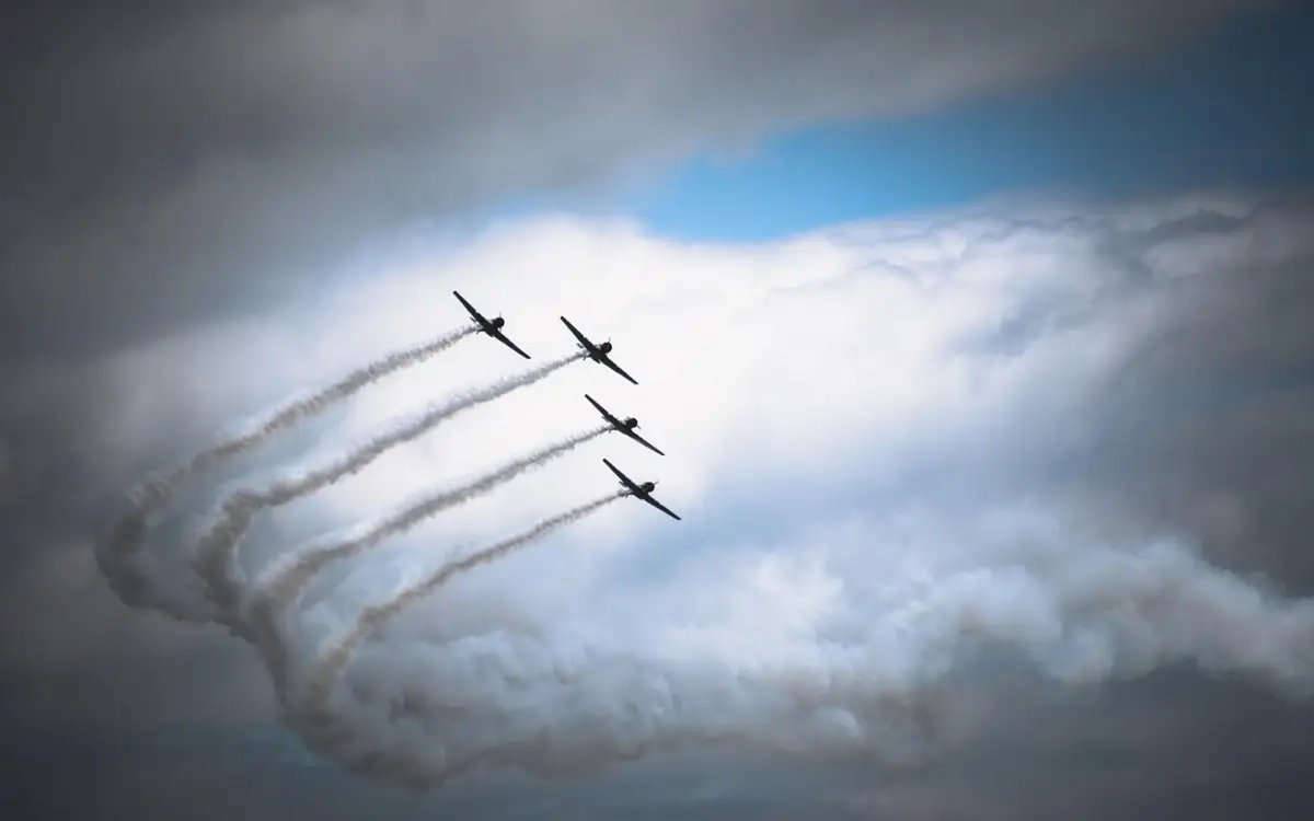 Фото: freepik.com