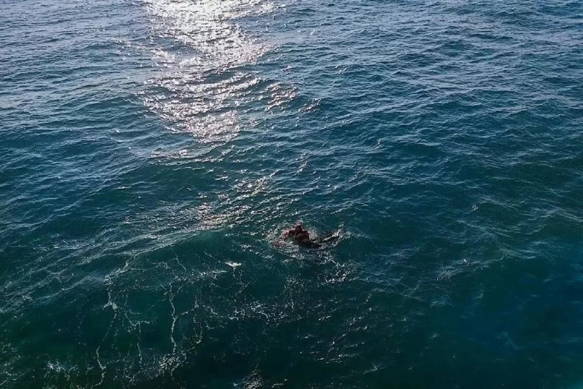 Иллюстративное фото МЧС РК