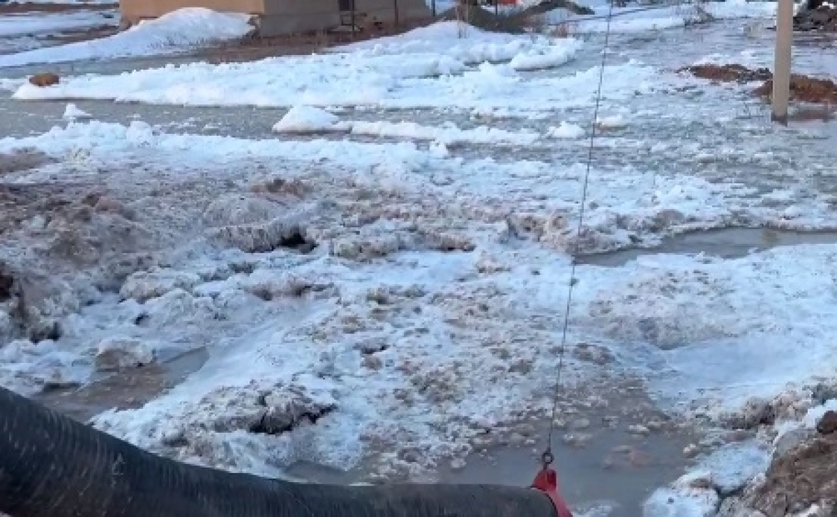 Фото: скриншот из видео