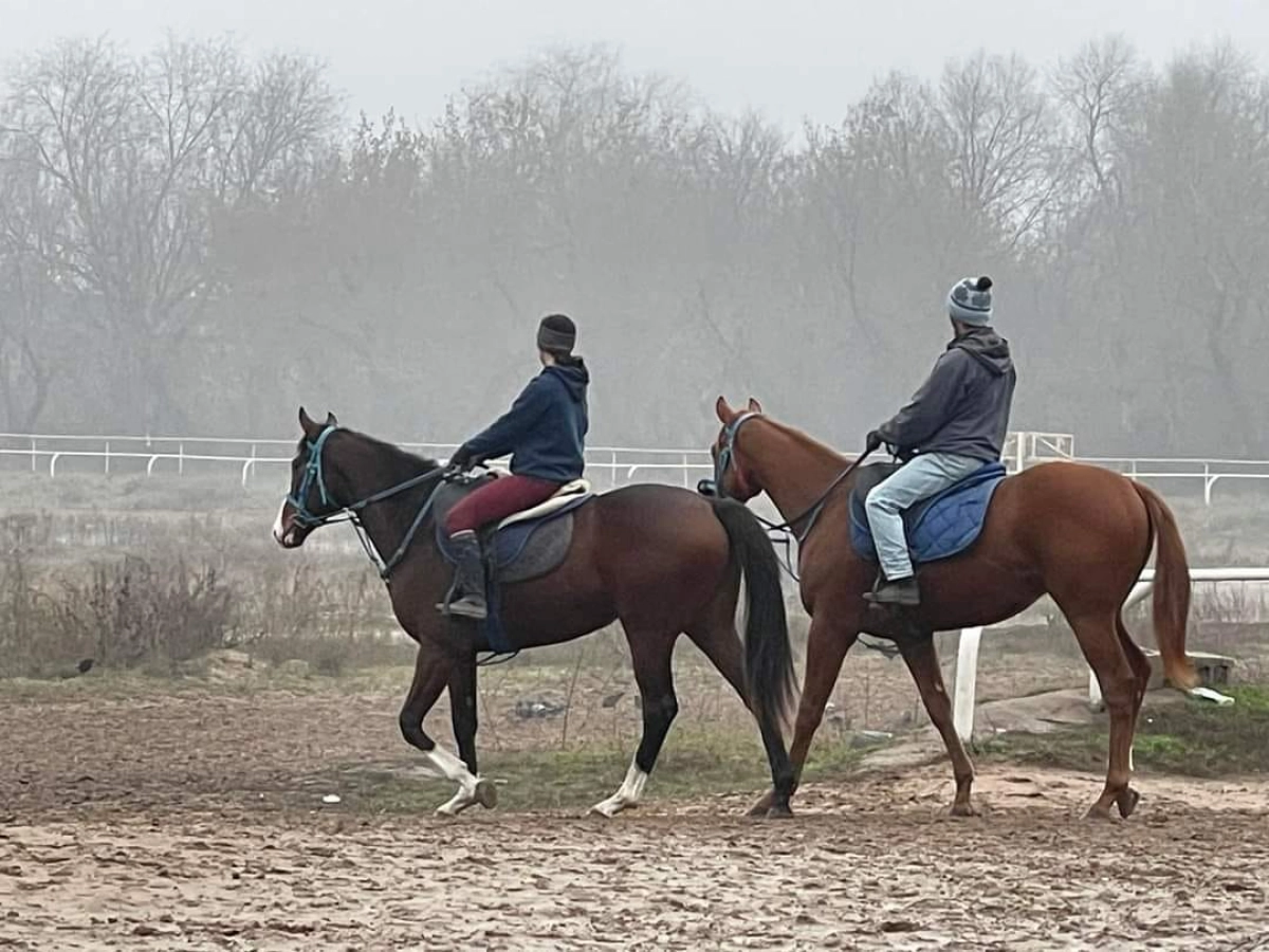 Фото сотрудников ипподрома