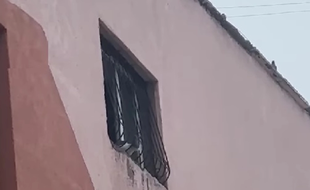 Фото: скриншот из видео