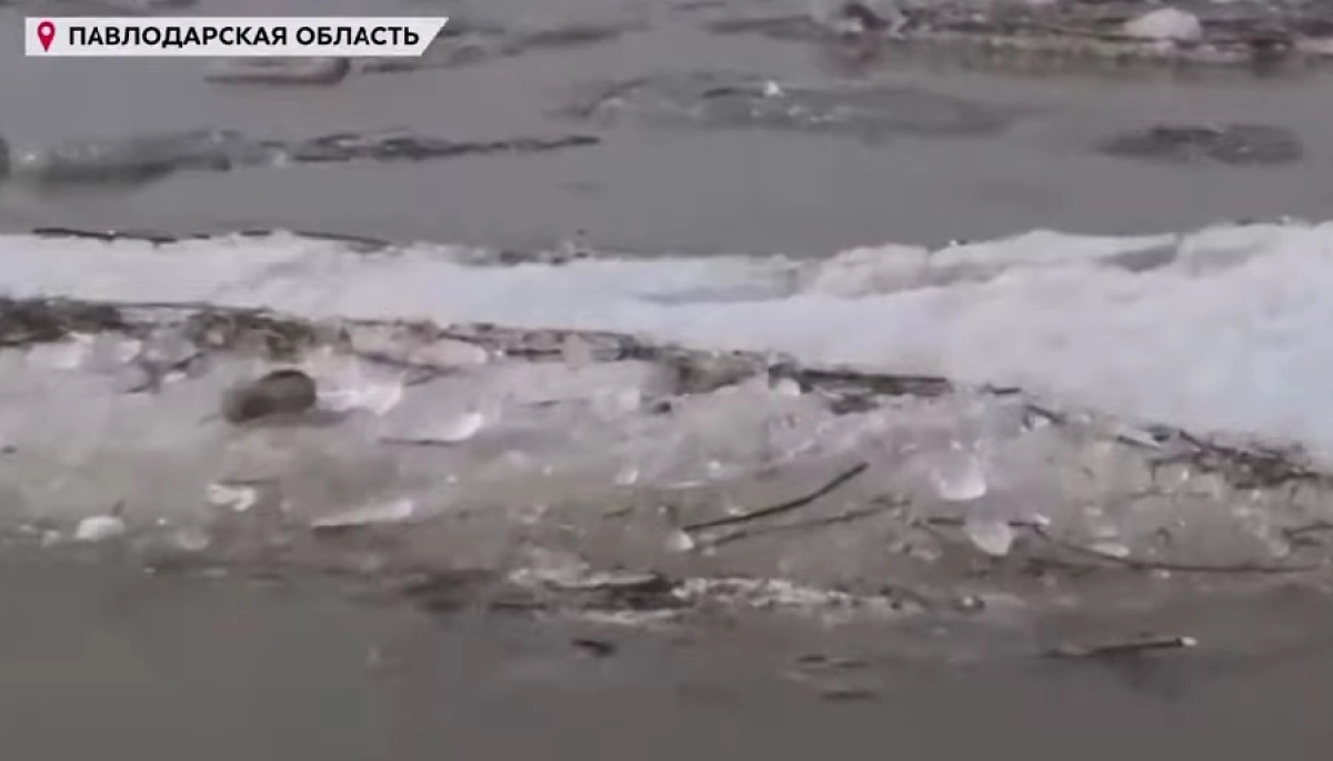 Кадр из видео