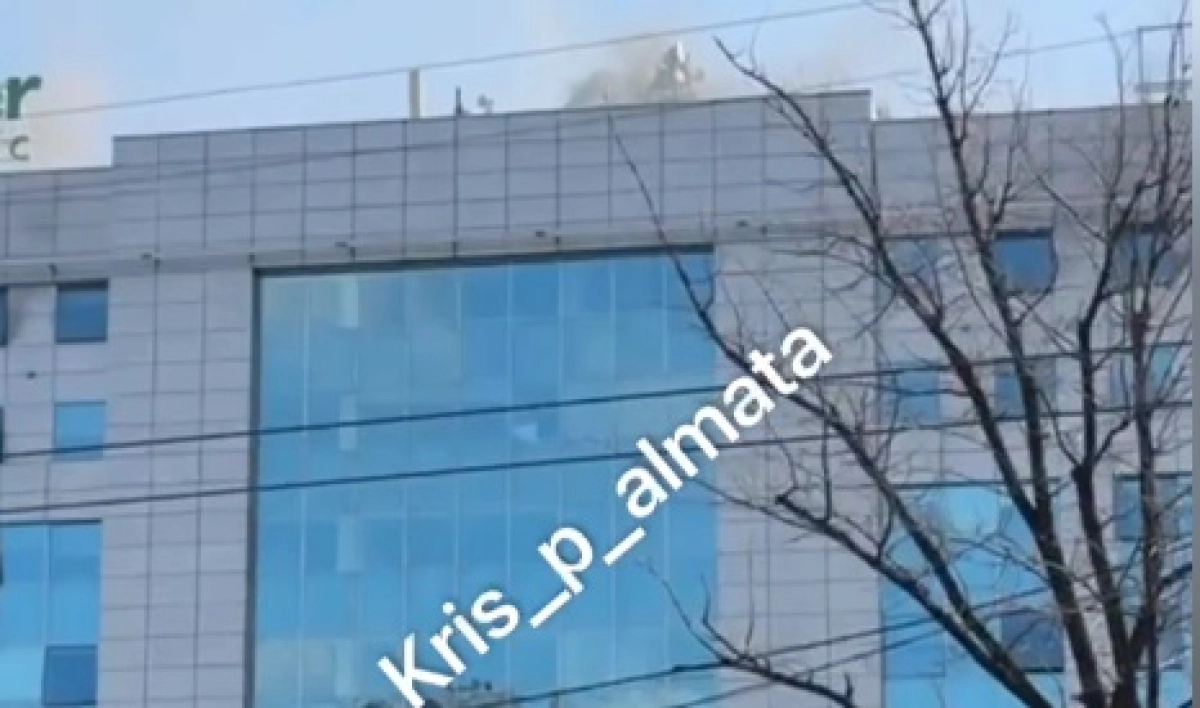 Фото: скриншот из видео