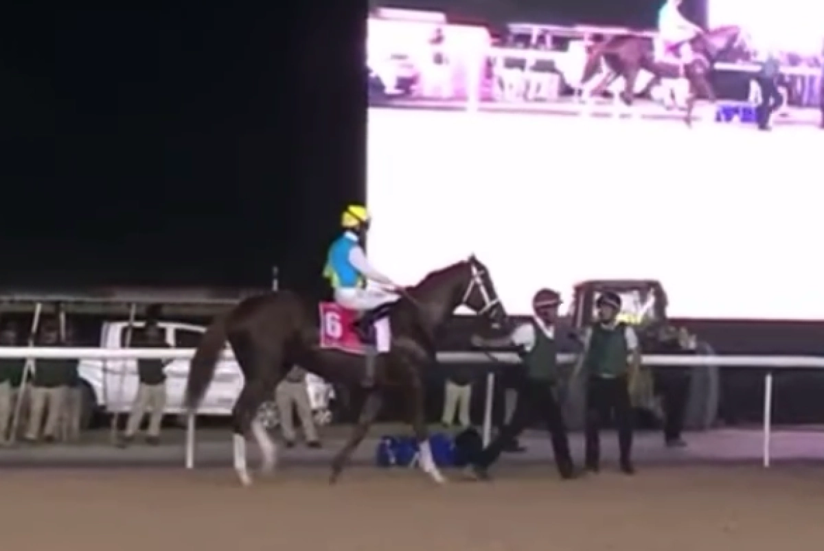 Кадр из видео