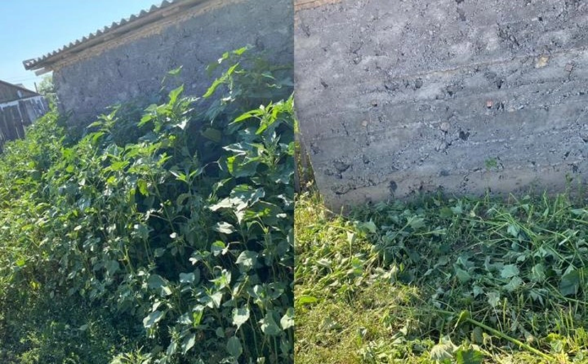 Фото: акимат Актогайского района Павлодарской области