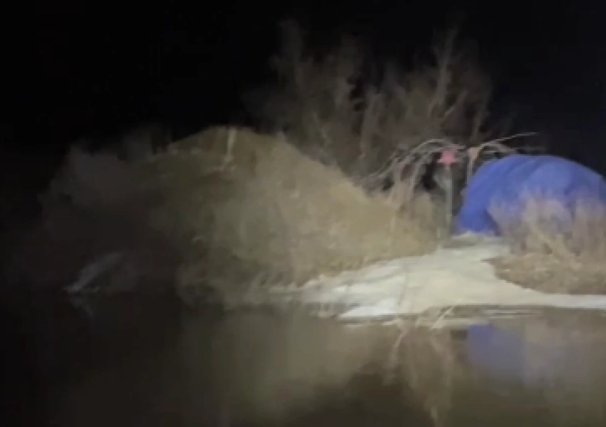 Кадр из видео