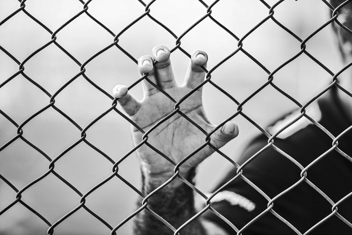 Фото: unsplash