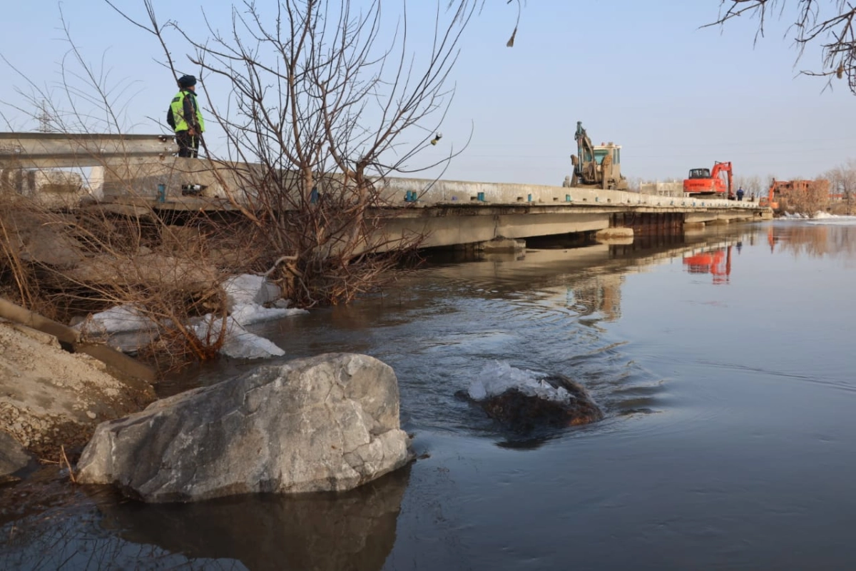 Фото: Сергей Миронов/Костанайские новости