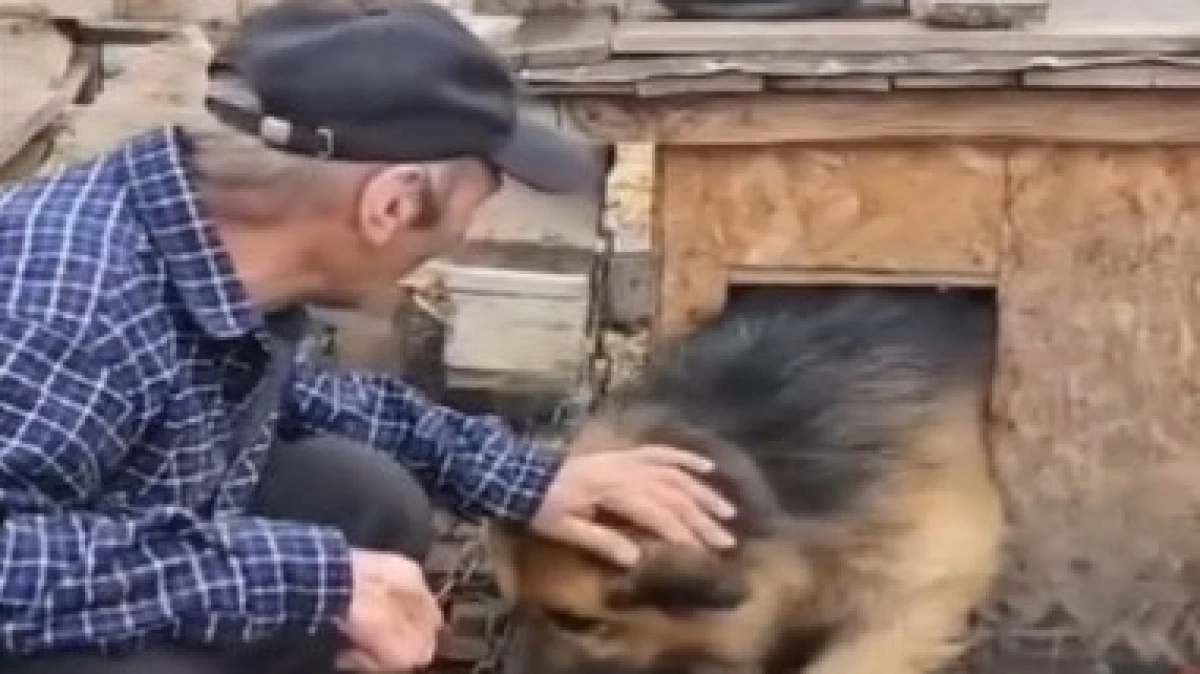 Кадр из видео