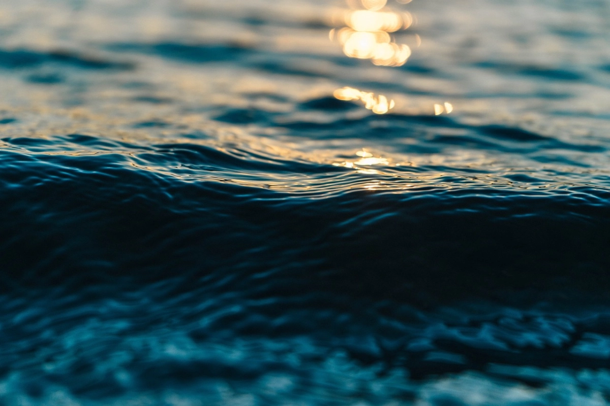 Фото: pixabay.com