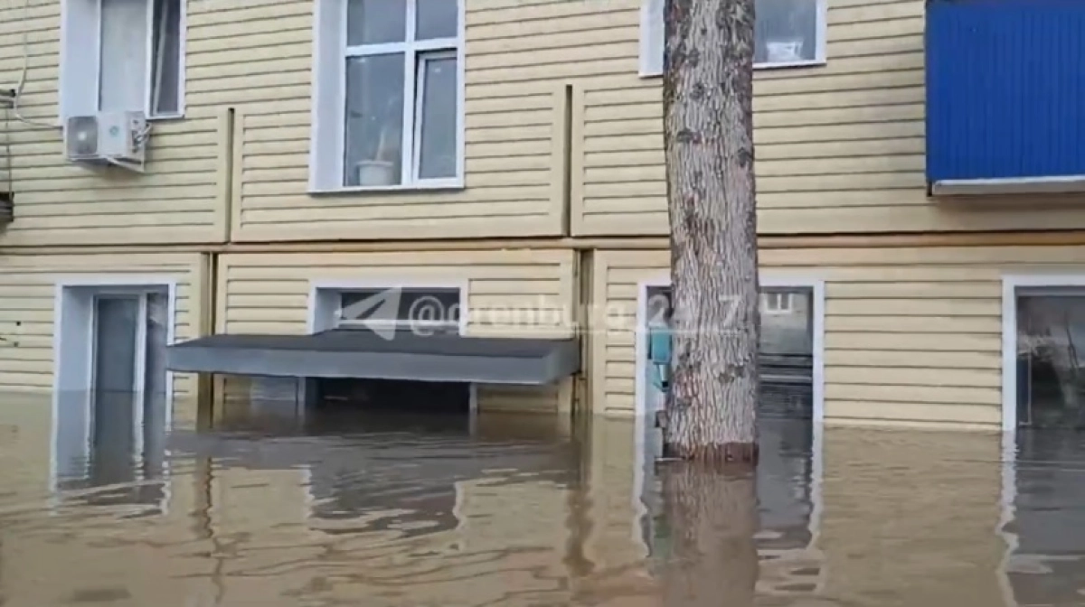 Кадр из видео