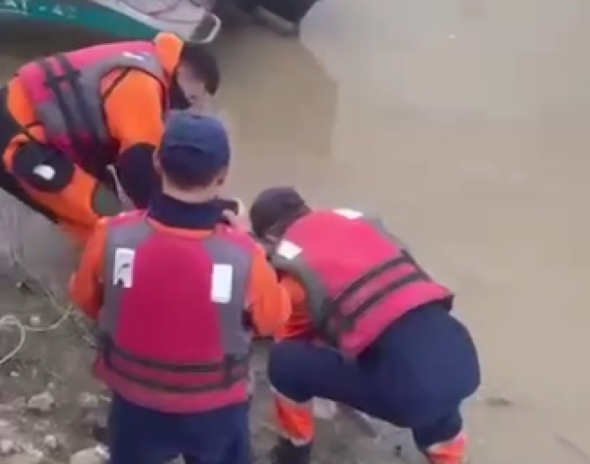 Кадр из видео/Orda.kz