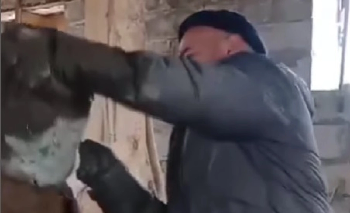 Фото: скриншот из видео