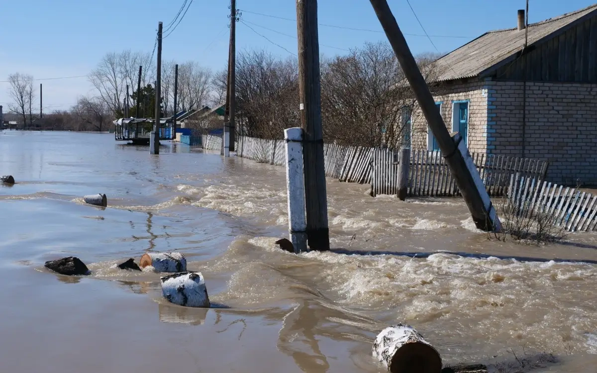 Фото: департамент полиции СКО