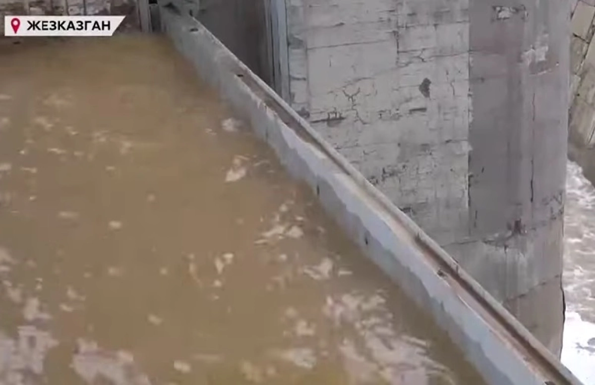 Фото: скриншот из видео