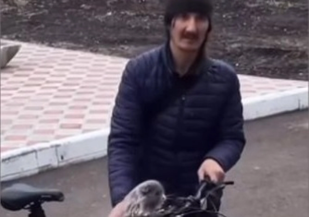 Фото: скриншот из видео