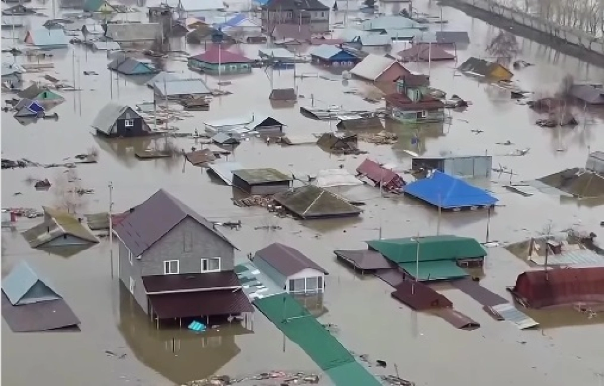 Фото: скриншот из видео