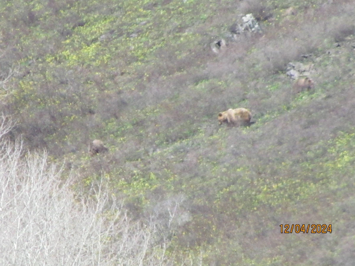 Фото: yk-news.kz