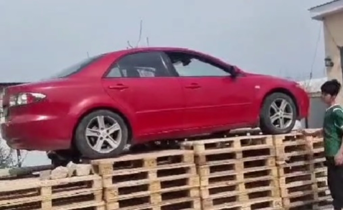 Фото: скриншот из видео