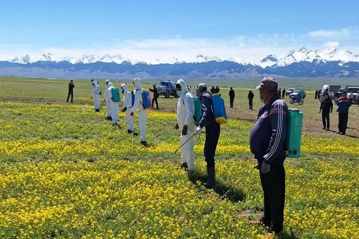 Фото: пресс-служба МСХ РК