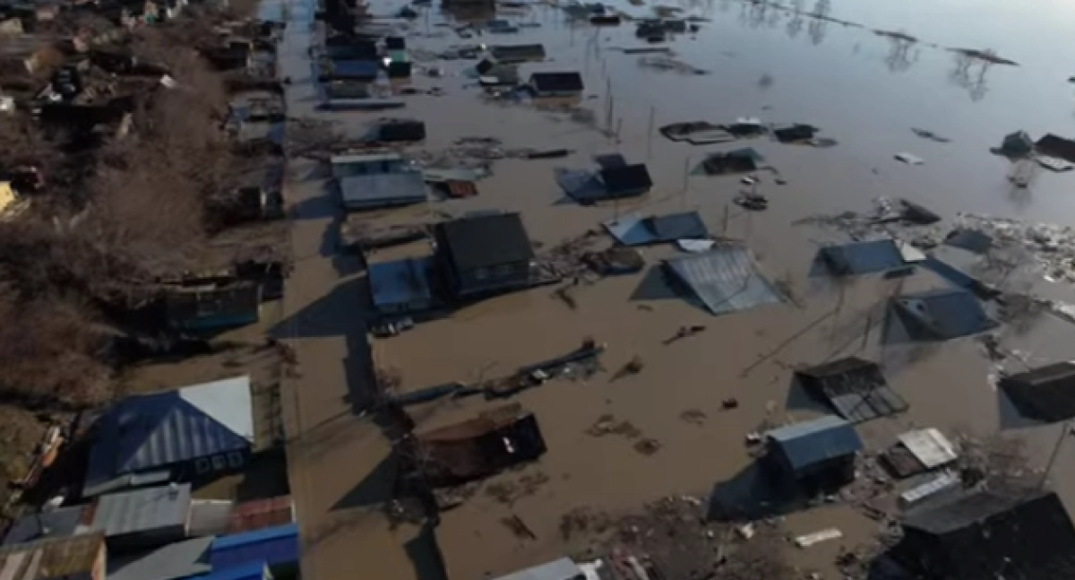 Фото: кадр из видео