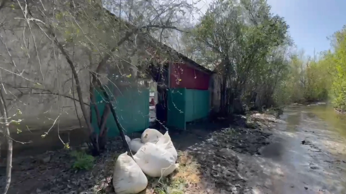 Фото: кадр из видео