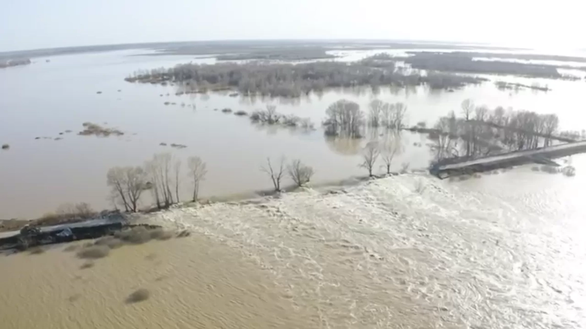 Кадр из видео