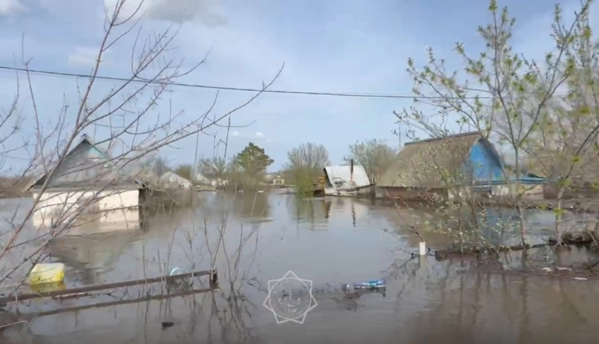 Фото: скриншот из видео МЧС РК