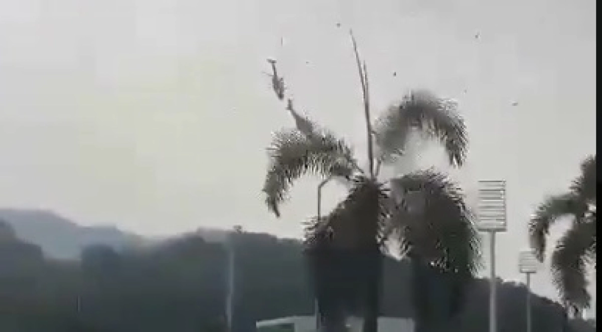 Фото: скриншот из видео