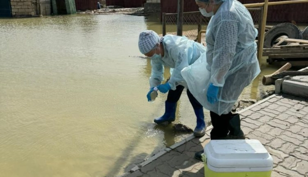 Фото: НЦОЗ МЗ РК