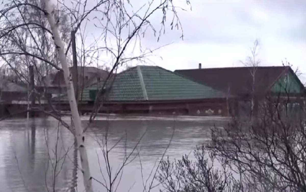 Фото: скриншот из видео