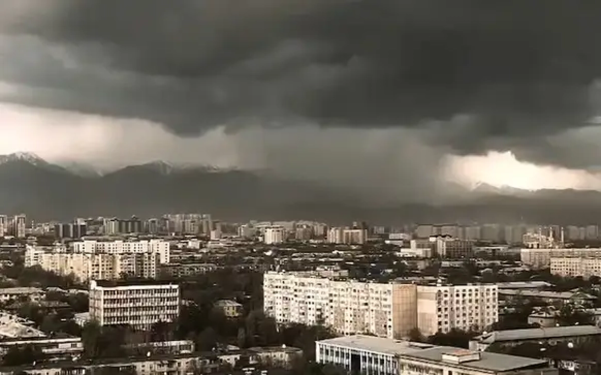 Кадр из видео