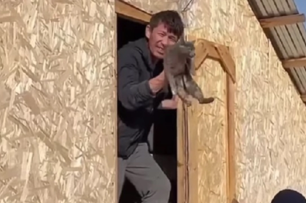 Фото: скриншот из видео