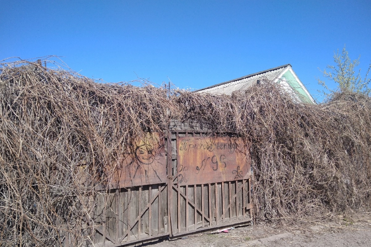 Фото: inbusiness.kz