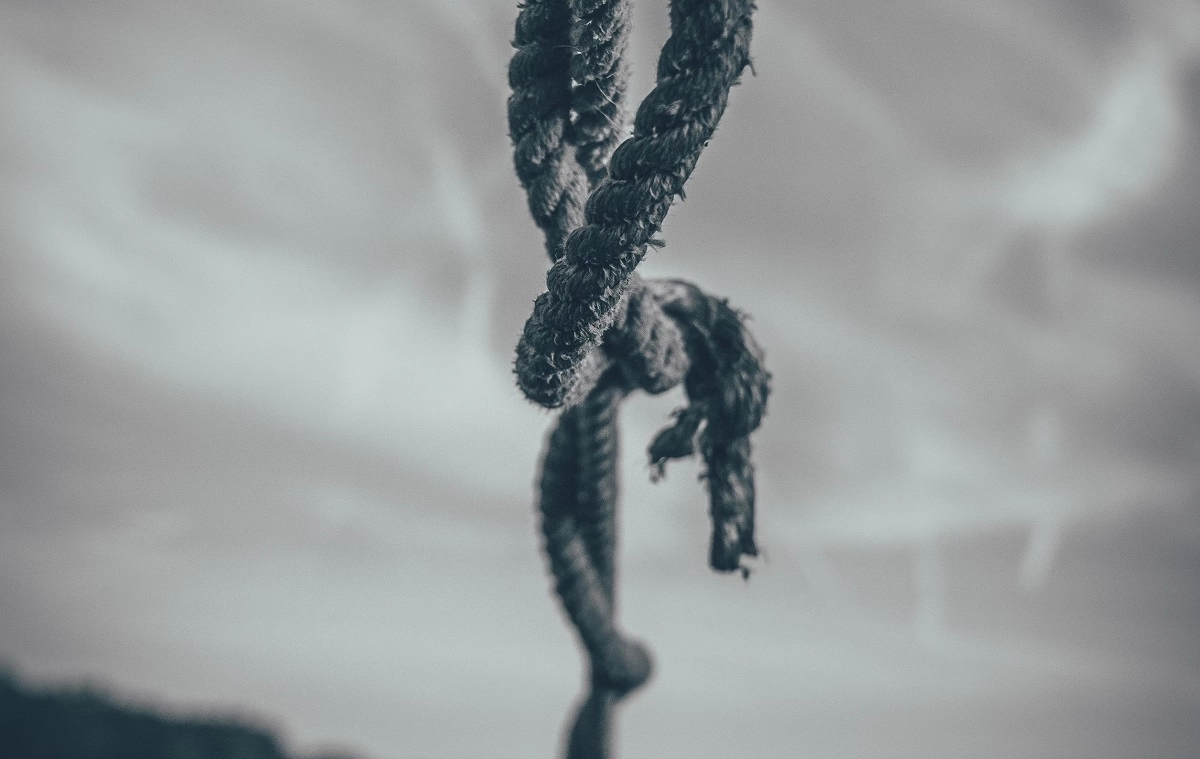 Фото: unsplash