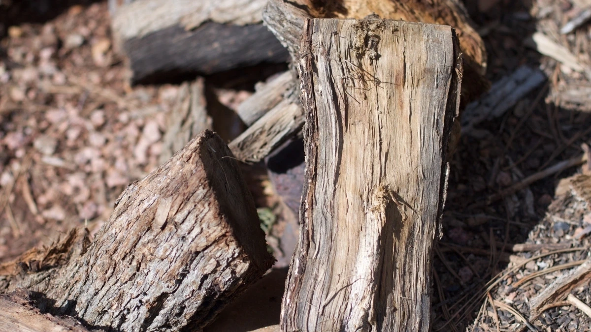 Фото: pxhere.com