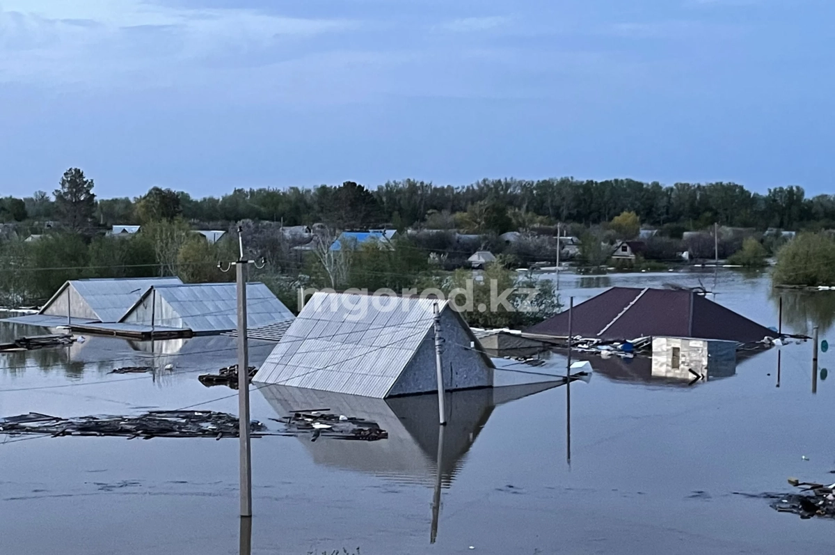 Фото: Мой город